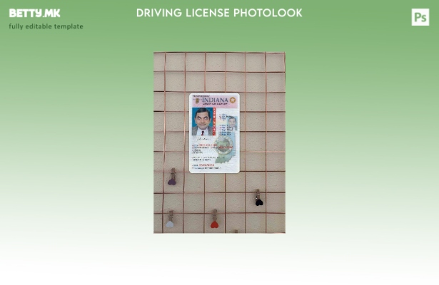 модерен стил САД Индијана возачка дозвола (оператор) под шаблон photolook FRONT